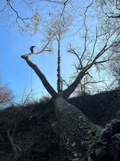 Intervention urgente